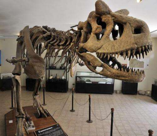 View of the replica of the skeleton of a Carnotaurus on dispaly at the Cretaceous Park in Cal Orcko hill
