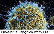 观点:美国准备埃博拉病毒疫情