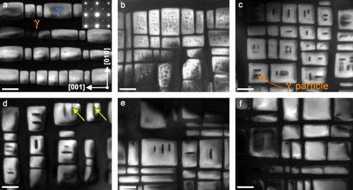 What makes superalloys super -- hierarchical microstructure of a superalloy