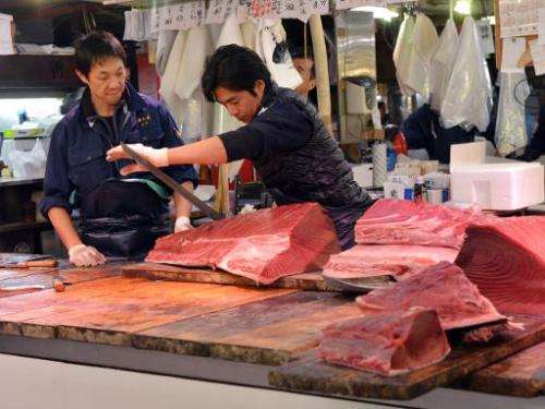 Wholesalers cut up bluefin tuna at Tokyo's Tsukiji fish market on November 22, 2013