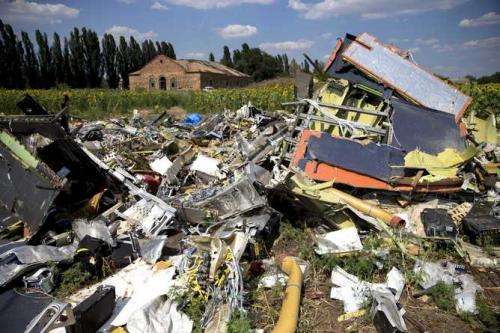 Why conspiracy theorists won't give up on MH17 and MH370