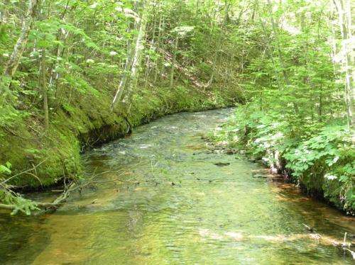 Wrangling data flood to manage the health of streams