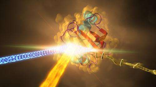 X-ray laser reveals how bacterial protein morphs in response to light
