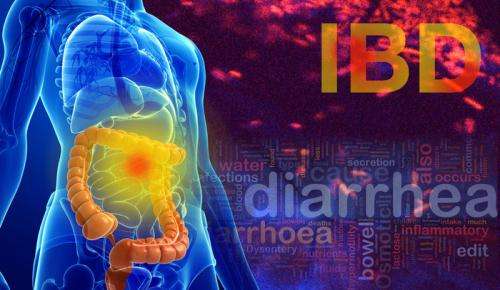 Yale study identifies possible bacterial drivers of IBD