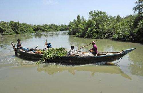A boat laden with chopped mangroves passes along an inlet close to the Arabian Sea in Karachi
