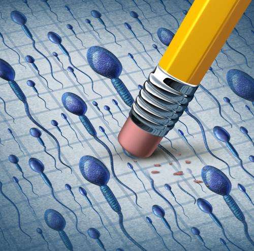 Advance in the development of the first reversible male contraceptive