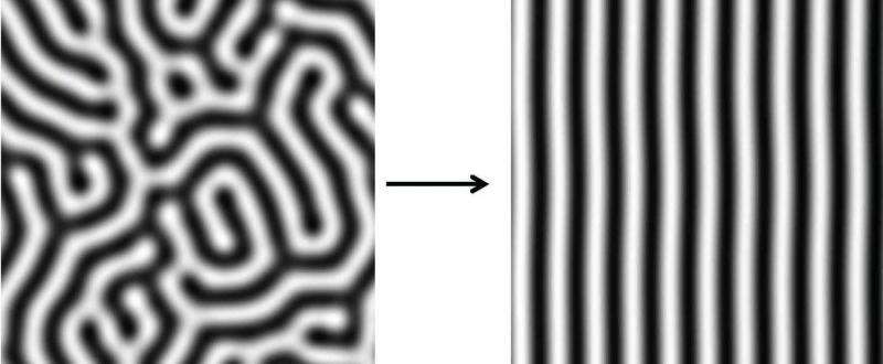 A mathematical model for animal stripes