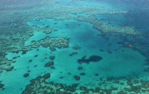 An aerial view of the Great Barrier Reef off the coast of the Whitsunday Islands, along the central coast of Queensland, picture