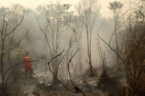 An Indonesian firefighter surveys burning peat land in in the Kapuas district in Central Kalimantan province on Borneo island on