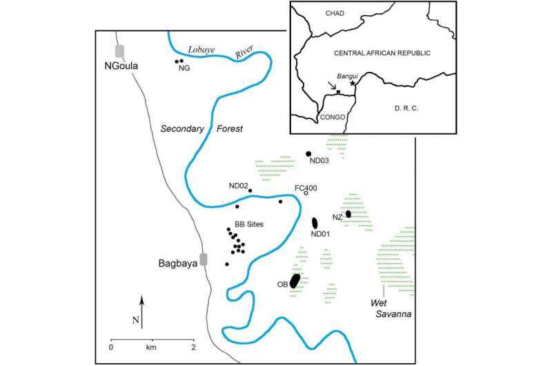Archaeology and Conservation in the Tropical Forests of the Central African Republic