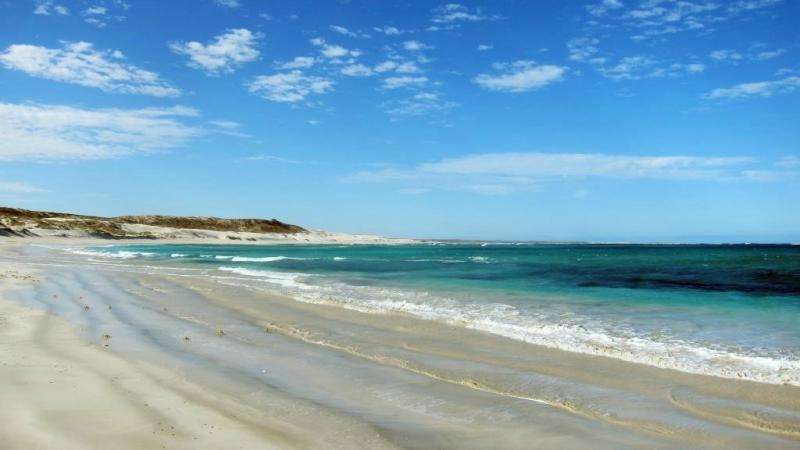 Are you ready to track Gnaraloo’s sea turtles?
