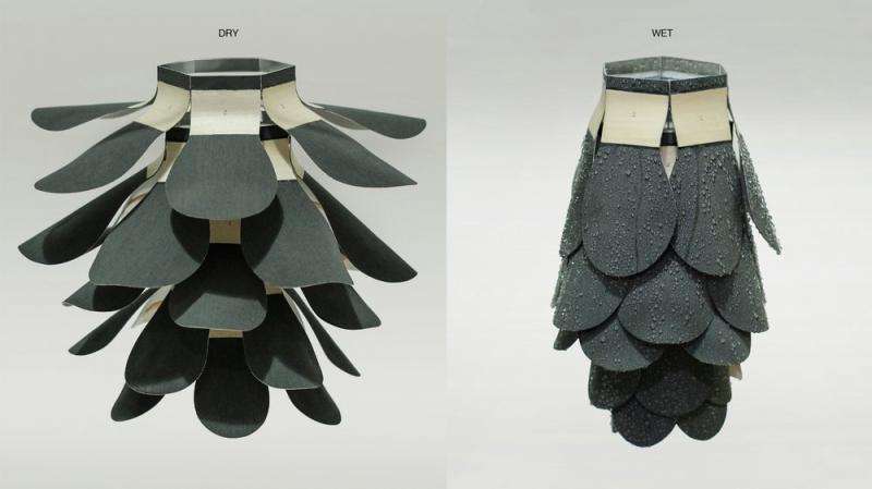 A shape-shifting building material based on pinecones