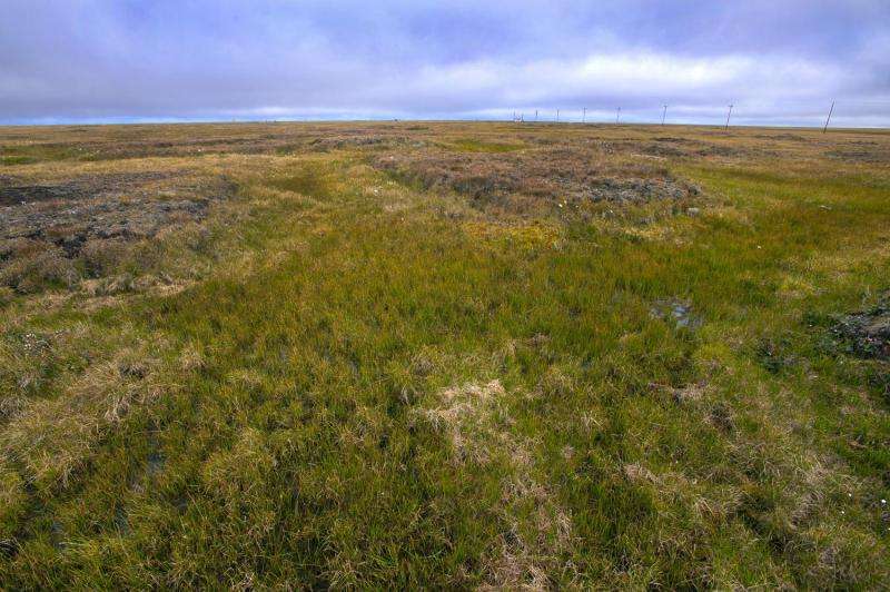 A simpler way to estimate the feedback between permafrost carbon and climate