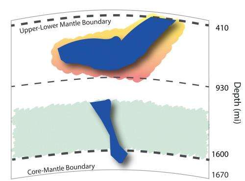 A stiff new layer in Earth's mantle