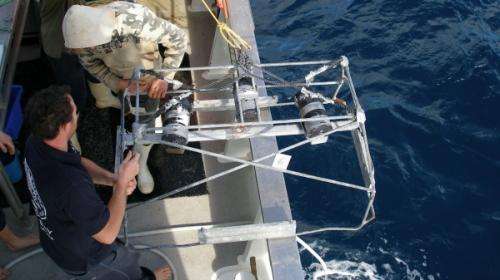 Baited video cameras help detect deep sea fish