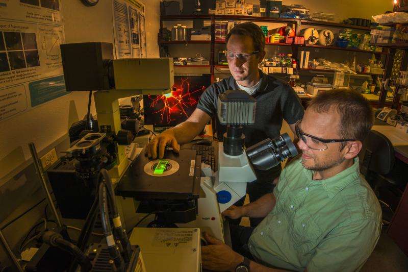 Biological tools create nerve-like polymer network