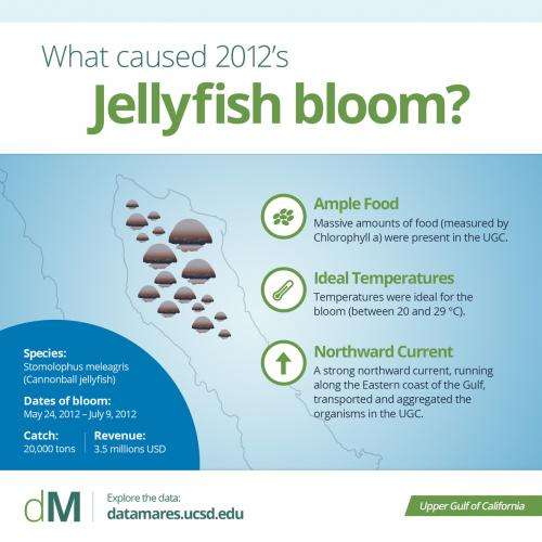 Boom or bust in a jelly bloom market