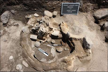 Bronze Age bones offer evidence of political divination