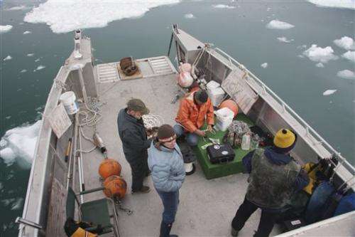 Bubbles from glacier ice turn up the noise in Alaska fjords