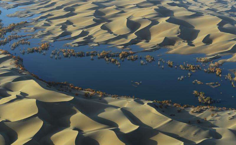 'Carbon sink' detected underneath world's deserts