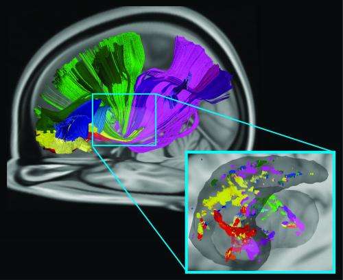 Carnegie Mellon neuroscientists identify new way several brain areas communicate
