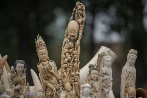 Carved ivory is shown to the media before being destroyed in Beijing on May 29, 2015