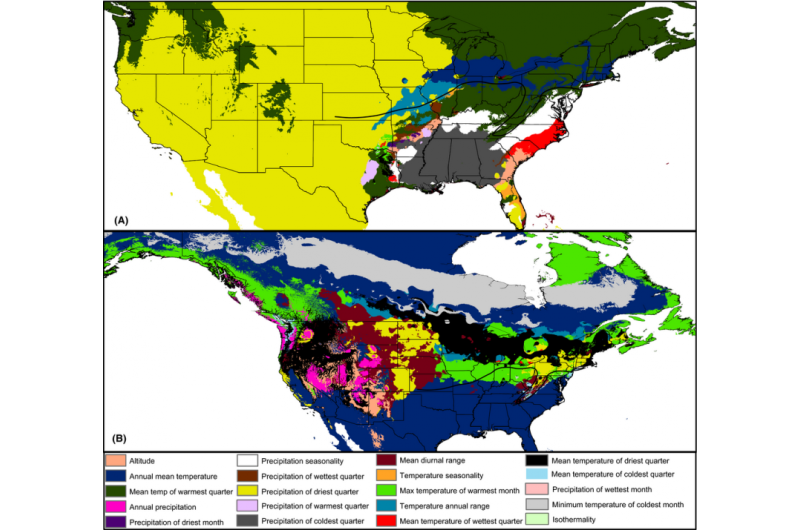 Chickadee research predicts drastic northward shift for southern species