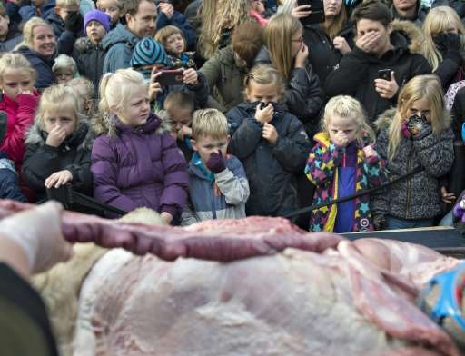 Children look on as zoo employees dissect a lion in the Danish city of Odense on October 15, 2015