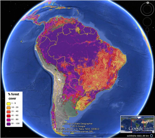 Citizen scientists map global forests