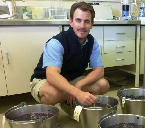 ‘Cold soak’ process turns up the heat on wines
