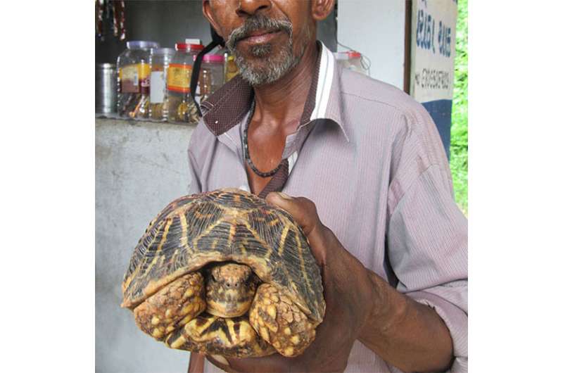 Counting Stars Illegal Trade Of Indian Star Tortoises Is A Far Graver Issue
