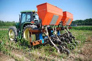 Covering the bases with cover crops