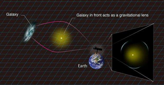 Discovery of potential gravitational lenses shows citizen science value