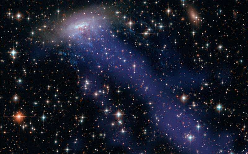Dwarf galaxies feel the blast from larger neighbours