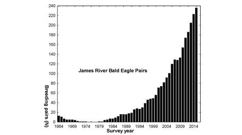 Eagles continue their advance along James River