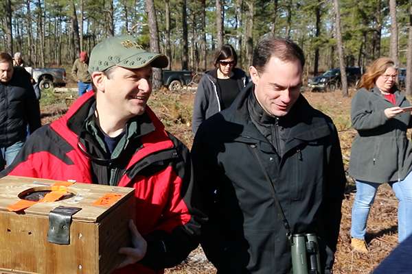 Effort to bring bobwhite quail back to New Jersey Pine Barrens