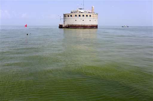 EPA suggests triggers for warning of algae in drinking water