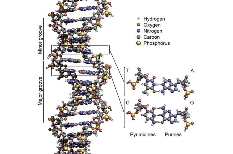 Ether compounds could work like DNA on oily worlds