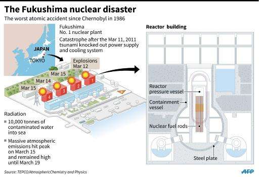Factfile on the Fukushima nuclear disaster in Japan on March 2011