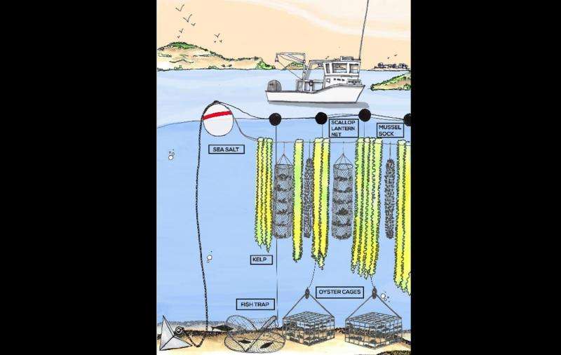 Farming the sea: Prize-winning model to restore ecosystems