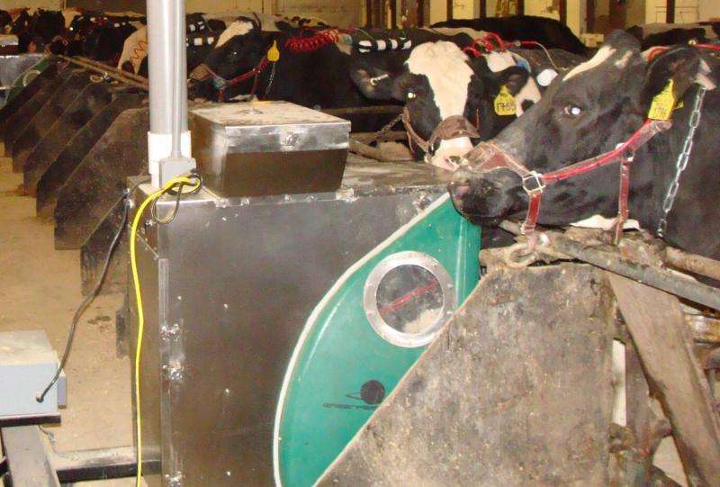 Feed supplement greatly reduces dairy cow methane emissions