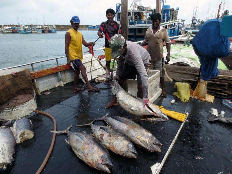 Fishermen, communities need more than healthy fish stocks