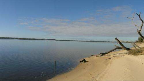 Fish species flourish in hypersaline estuary