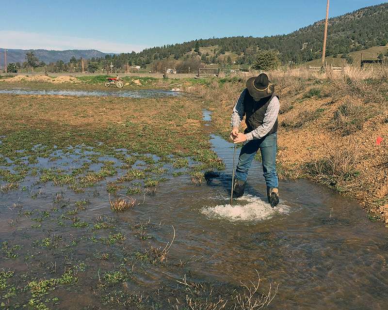 Flooding farms in the winter may help replenish groundwater