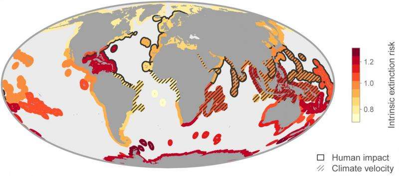 Fossils help identify marine life at high risk of extinction today