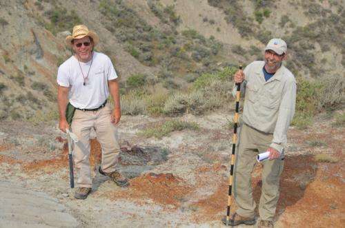 Fossils' surroundings shed light on extinction and environmental changes