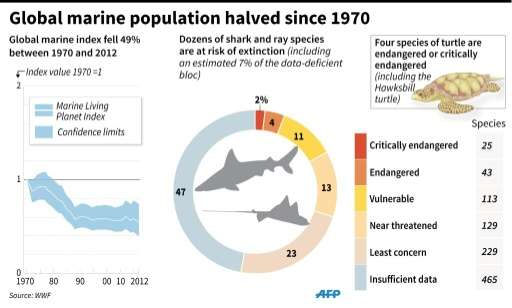 Global marine population halved since 1970