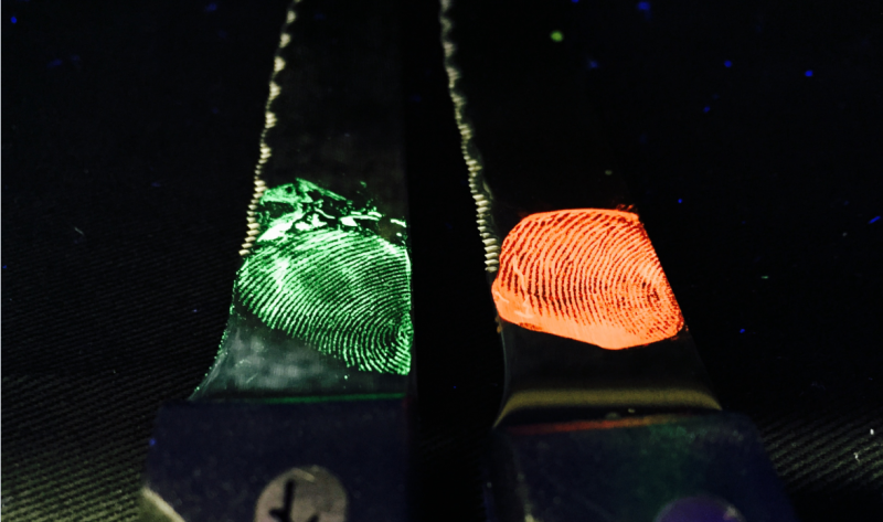 Glowing fingerprints to fight crime