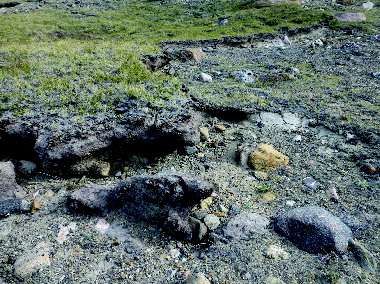 Greenland ice sheet's winds driving tundra soil erosion, Dartmouth study finds