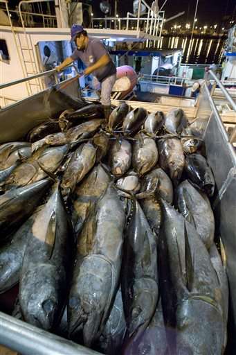 Hawaii longline fishermen allowed to resume catching tuna